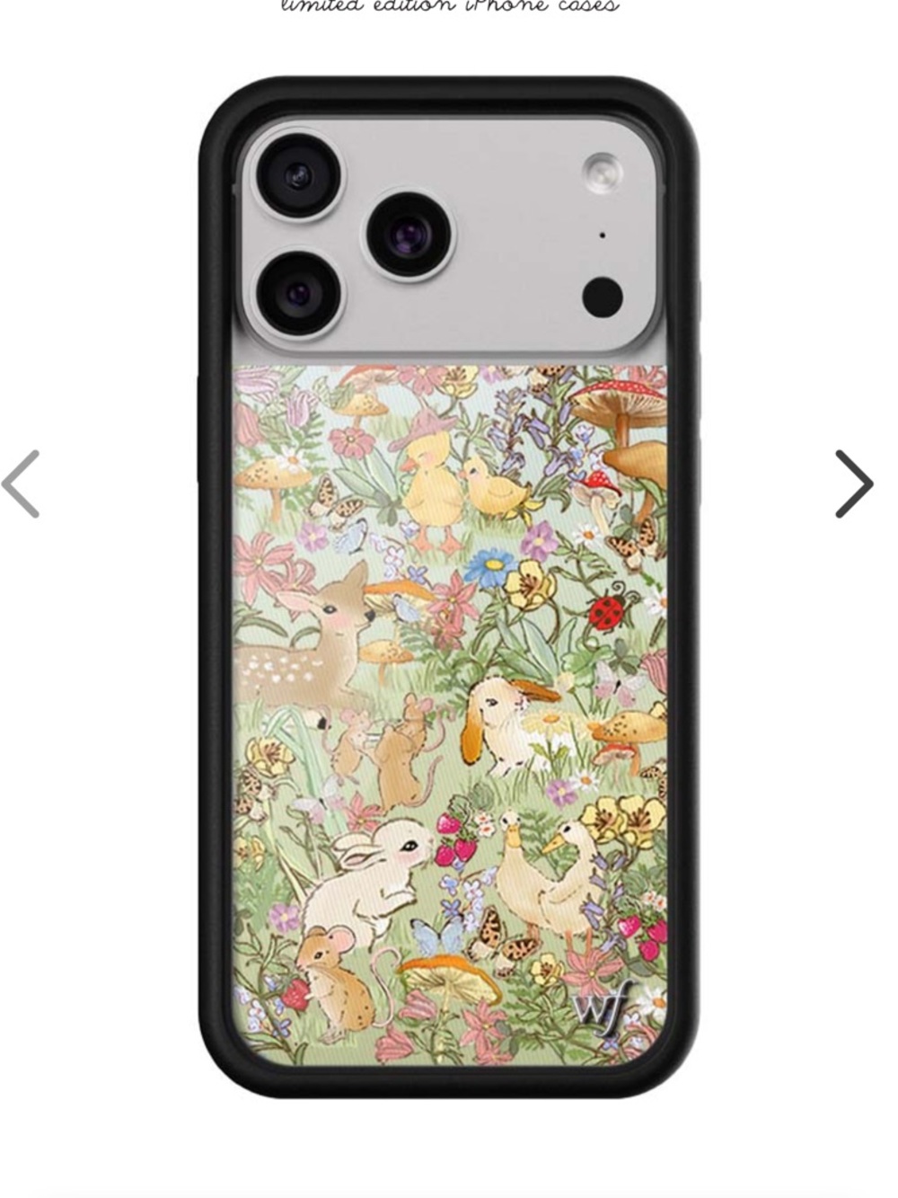 Wildflower Iphone 17 pro case